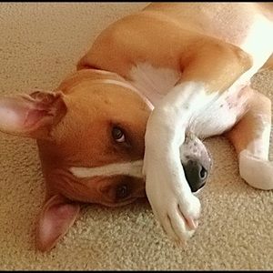 Meet your Posher, Marcia